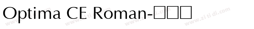 Optima CE Roman字体转换